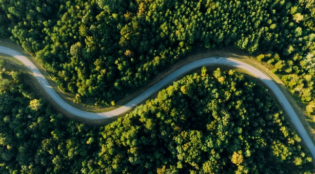 Aerial view of winding road through lush green forest